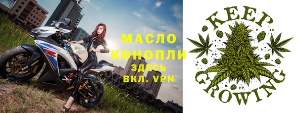 сатива Алексеевка