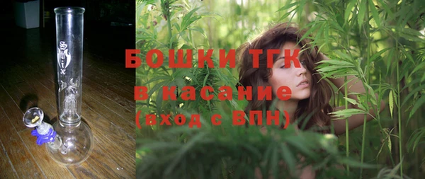 сатива Алексеевка